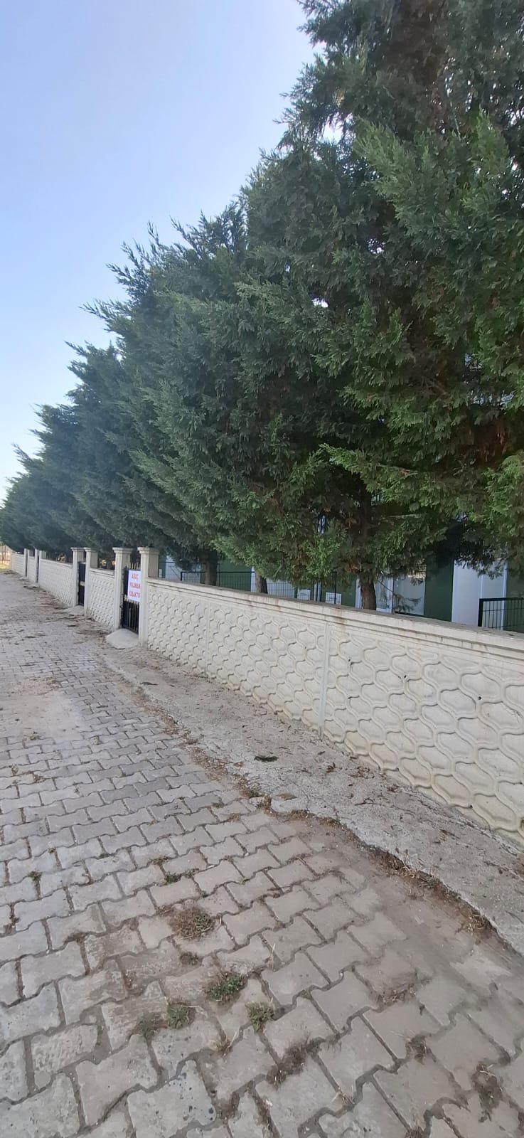 Odalarımız