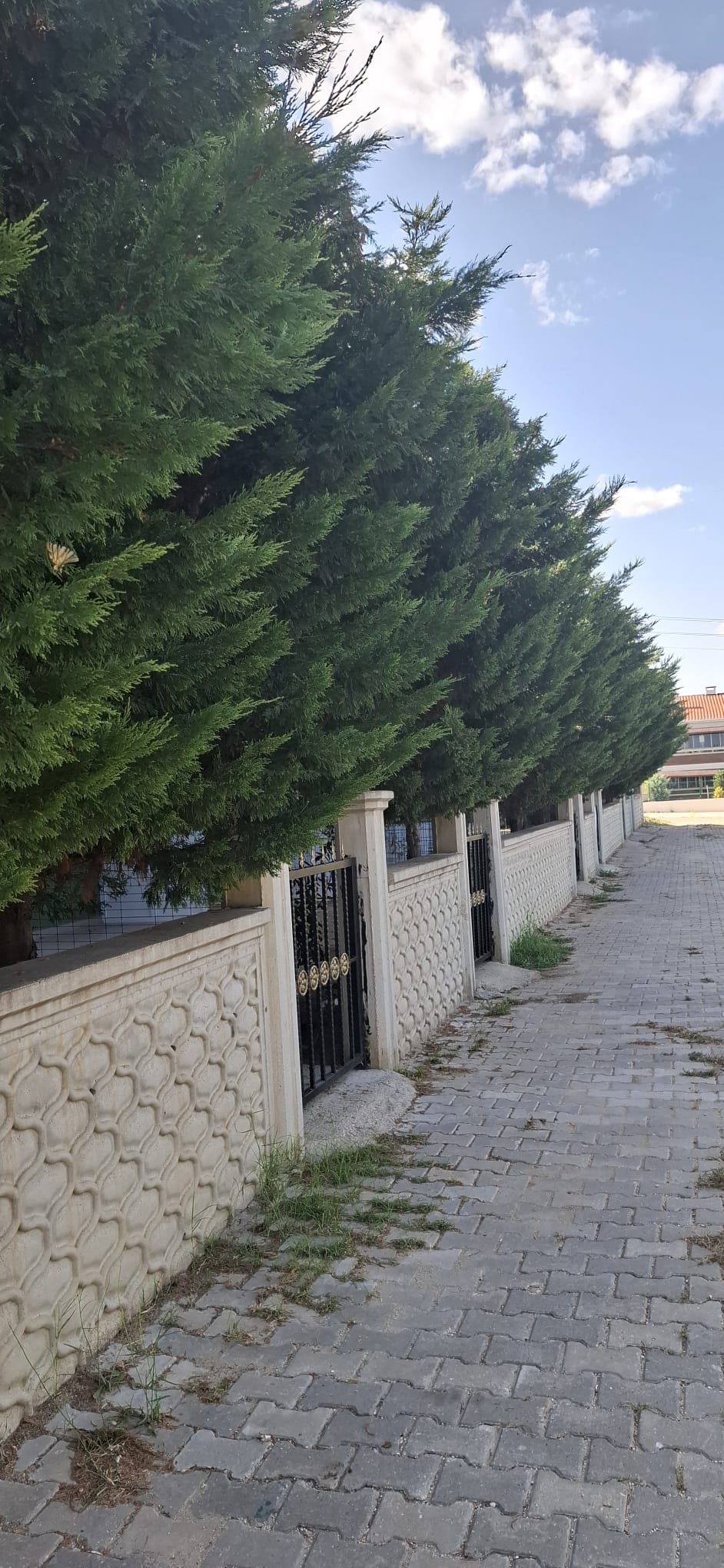 Odalarımız